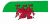 Welsh Flag Patten - Greyhound Coat