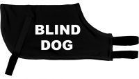 Blind Dog - Greyhound Coat 