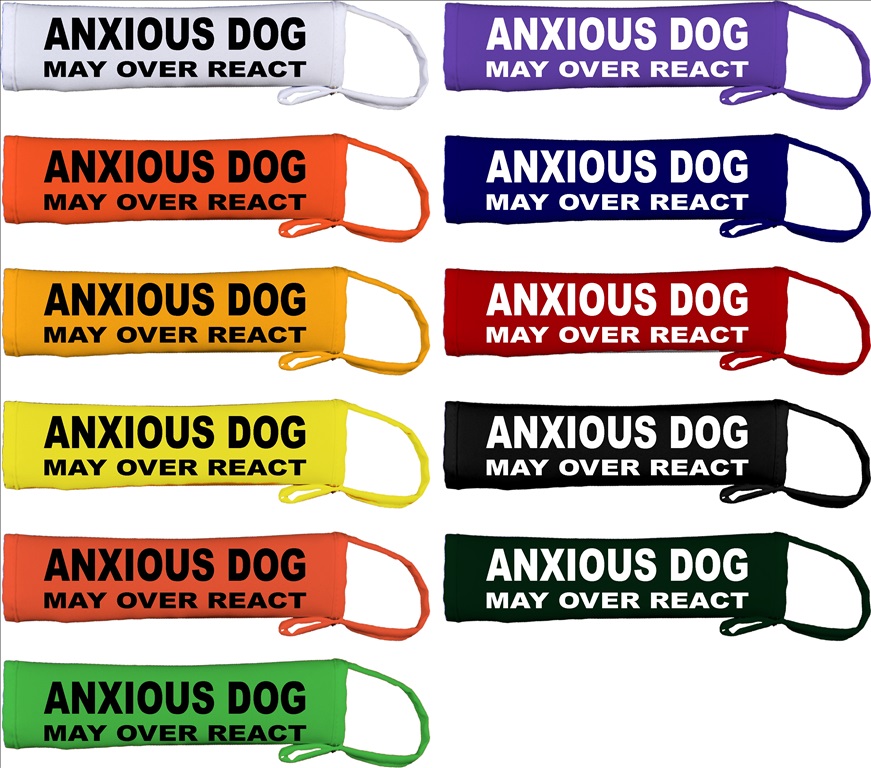 anxious dog lead slip