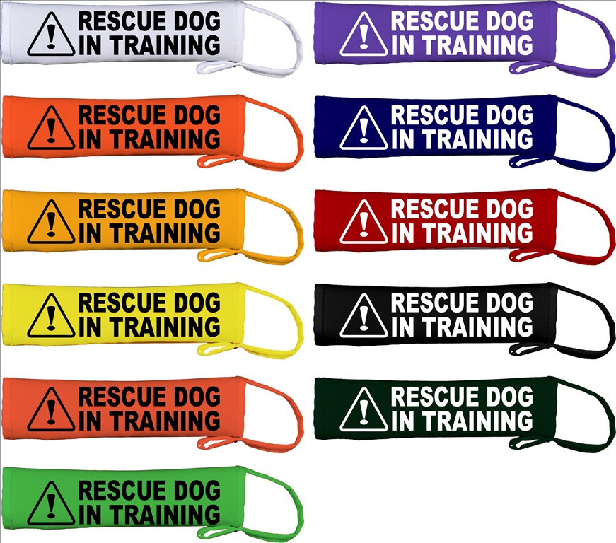 rescue dog lead